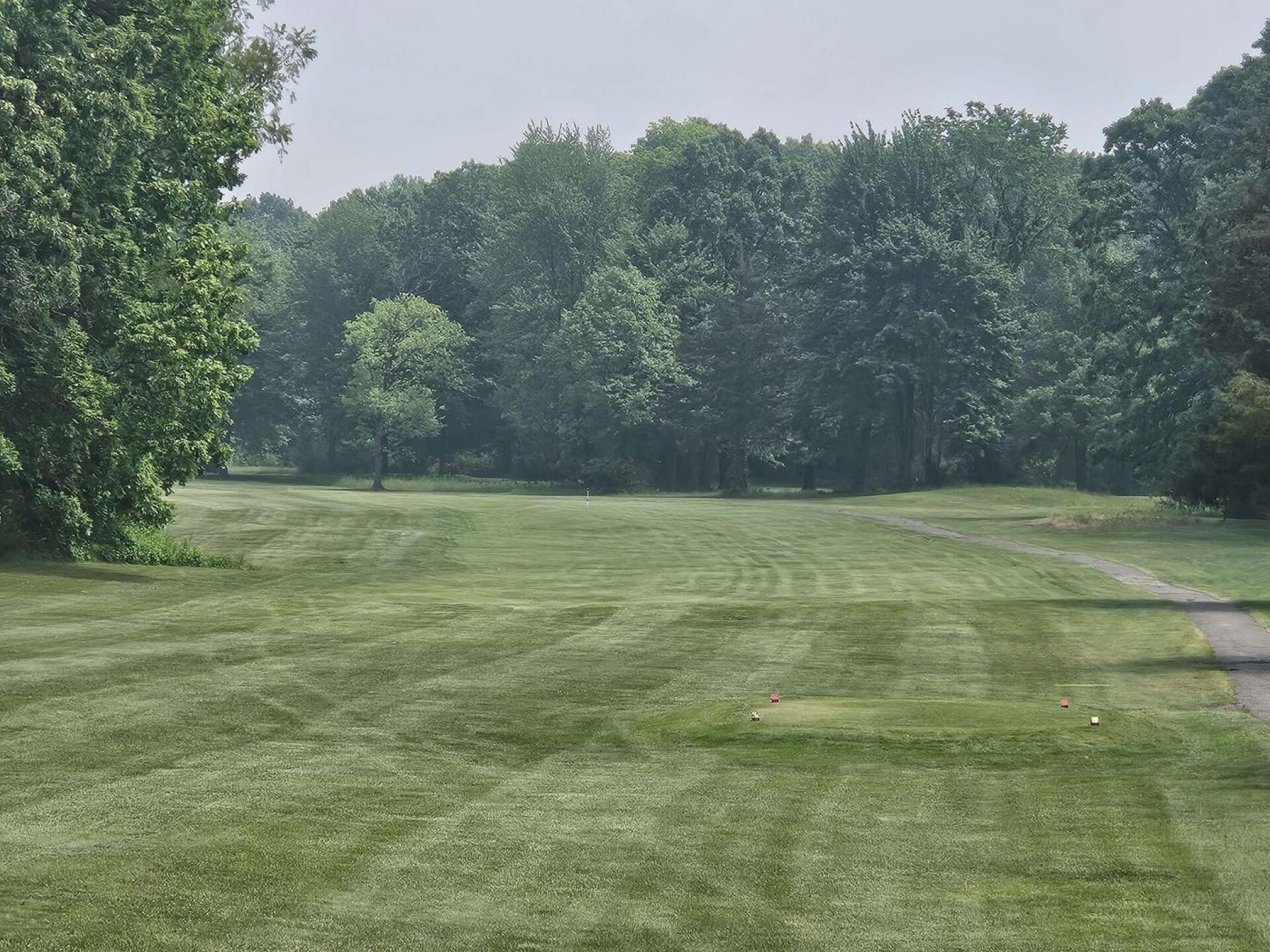 (Photo submitted by u314161622535 on 03/11/2026)