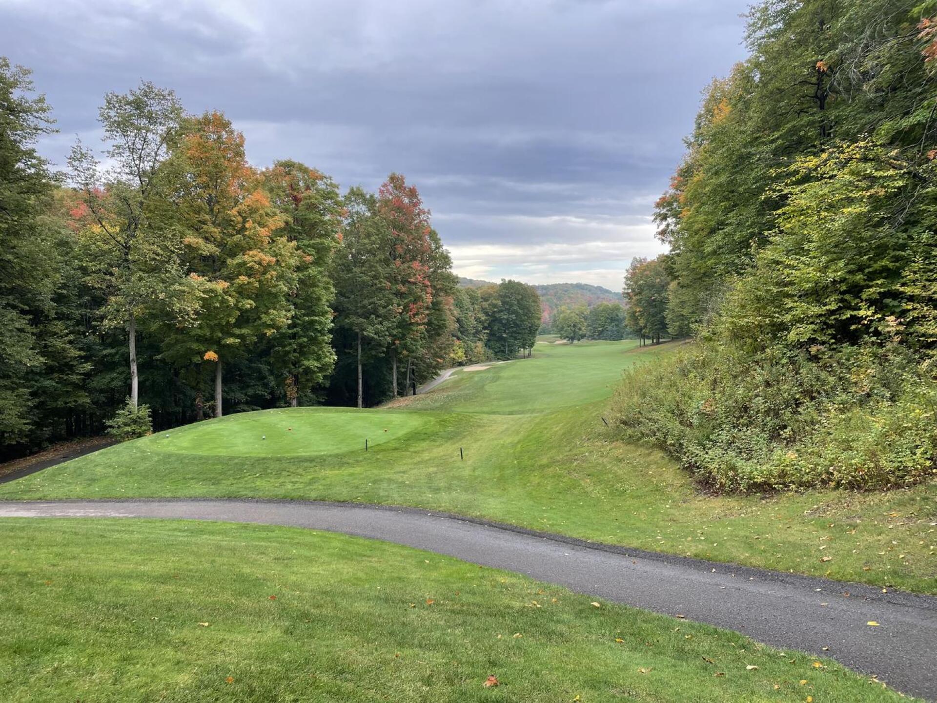 (Photo submitted by Ritzie89 on 10/03/2023)