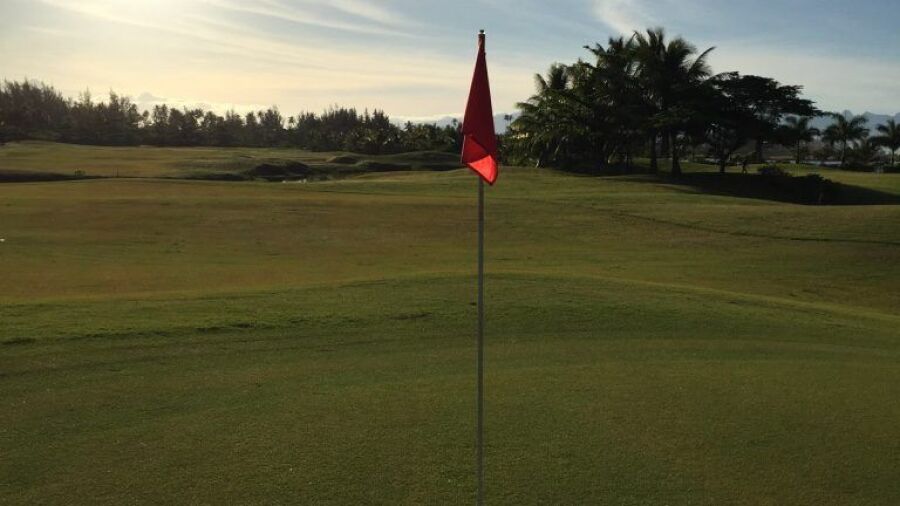 Moorea Green Pearl GC