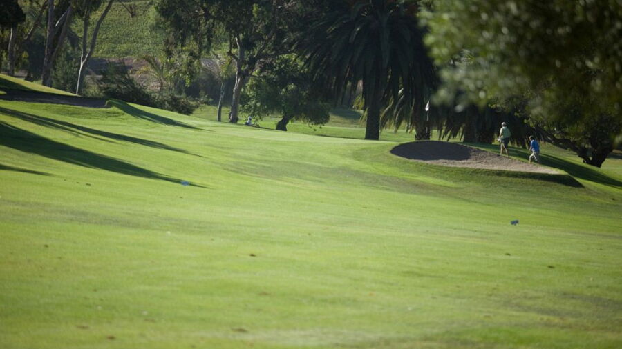 El Camino CC: #13