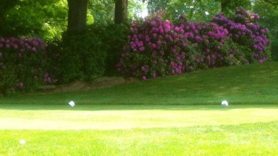 Third Nine at Cloverleaf GC: #8
