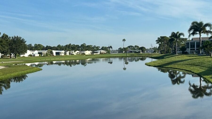 Blue Heron Pines