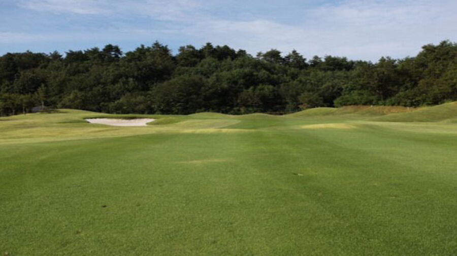 Nakamine GC: #3