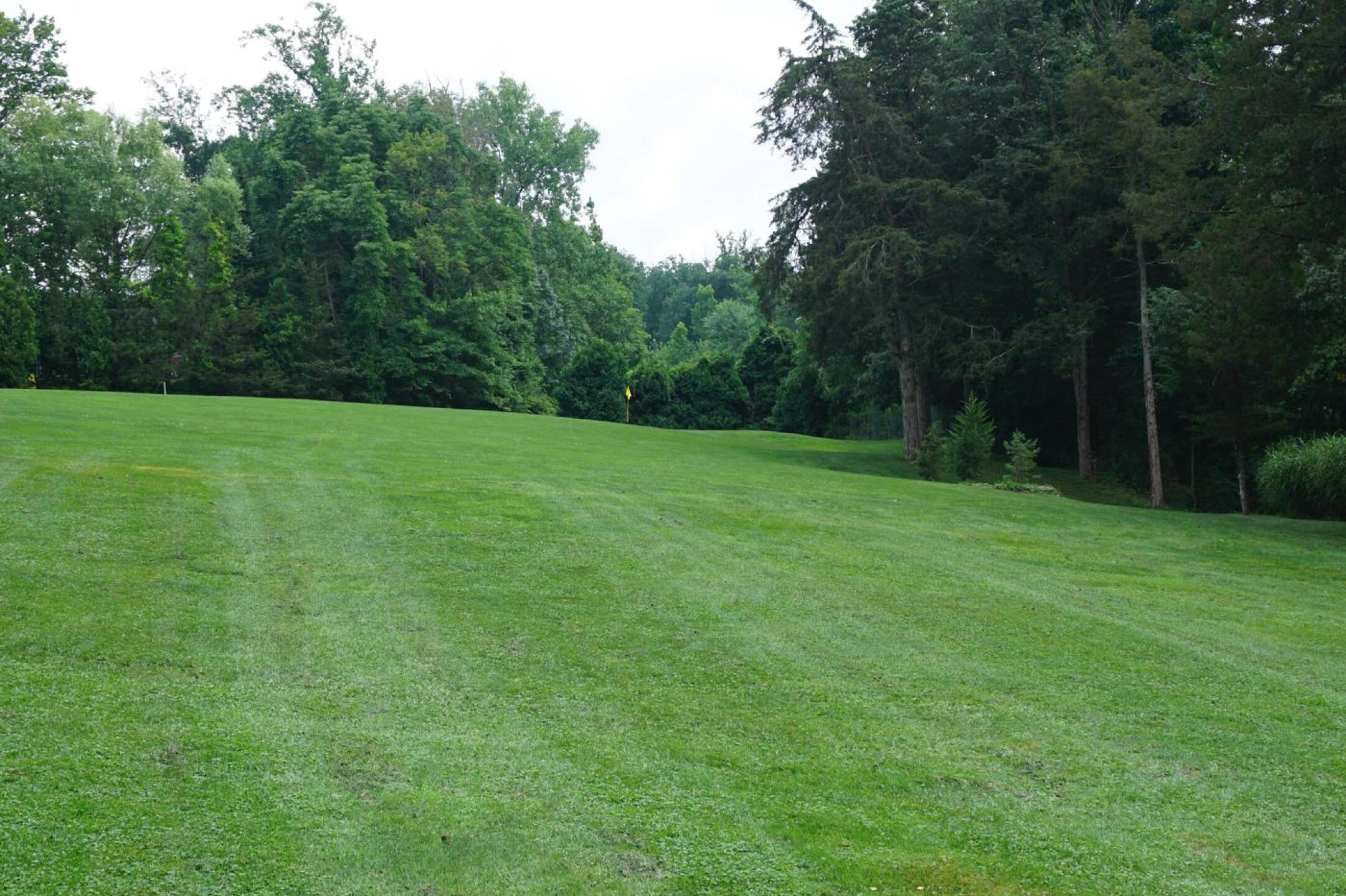 The eighth is a short par-three, but you may not find it easy to hit its green in regulation. (Photo submitted by AptlyLinked on 08/09/2021)