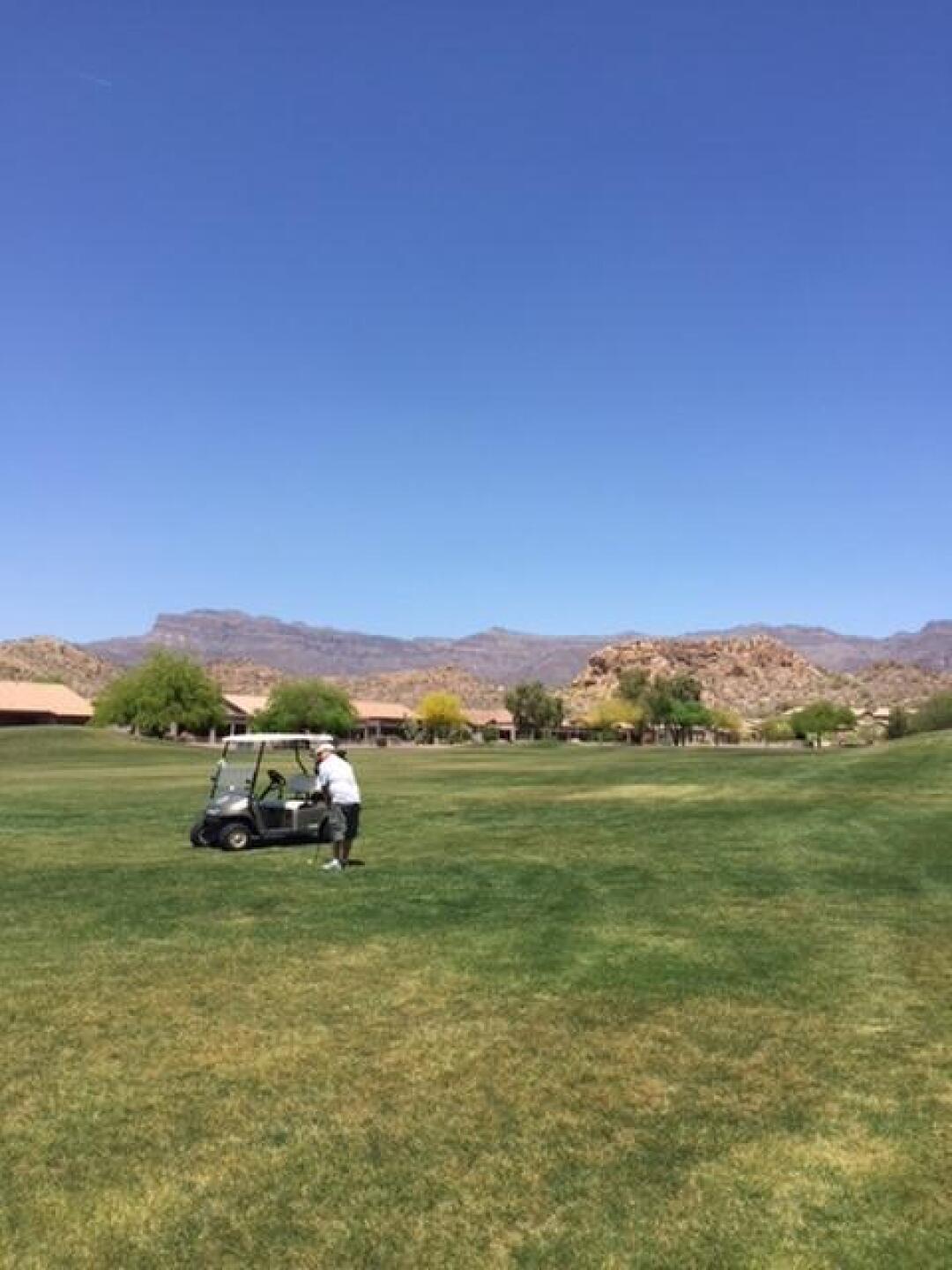 (Photo submitted by dhume419 on 04/30/2018)