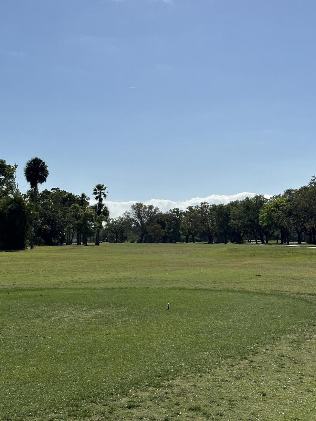 (Photo submitted by BSTISFREE on 03/19/2023)