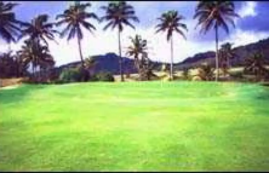 Wailua GC