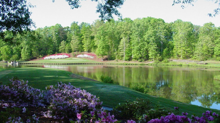 The Preserve at Verdae