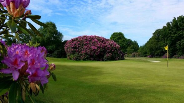 Dorset GCC - Woodland: #7