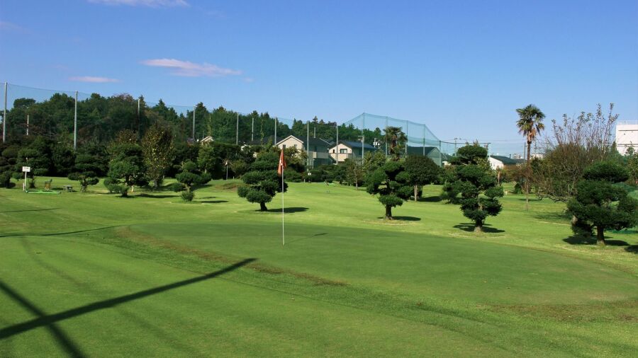 Midorino GC: #4