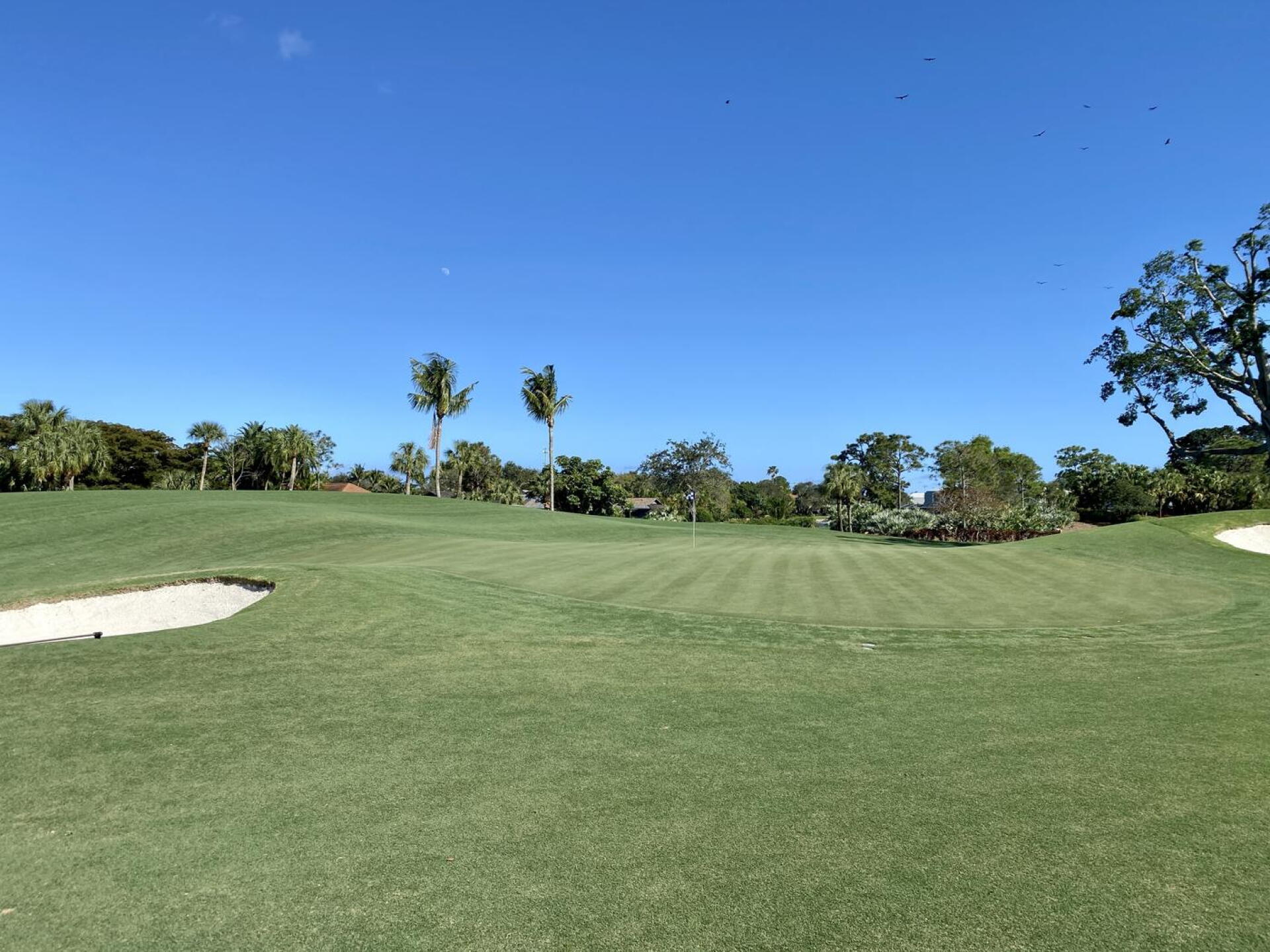 BallenIsles Country Club (East), hole 10 (Photo submitted by TimGavrichGP on 05/13/2023)