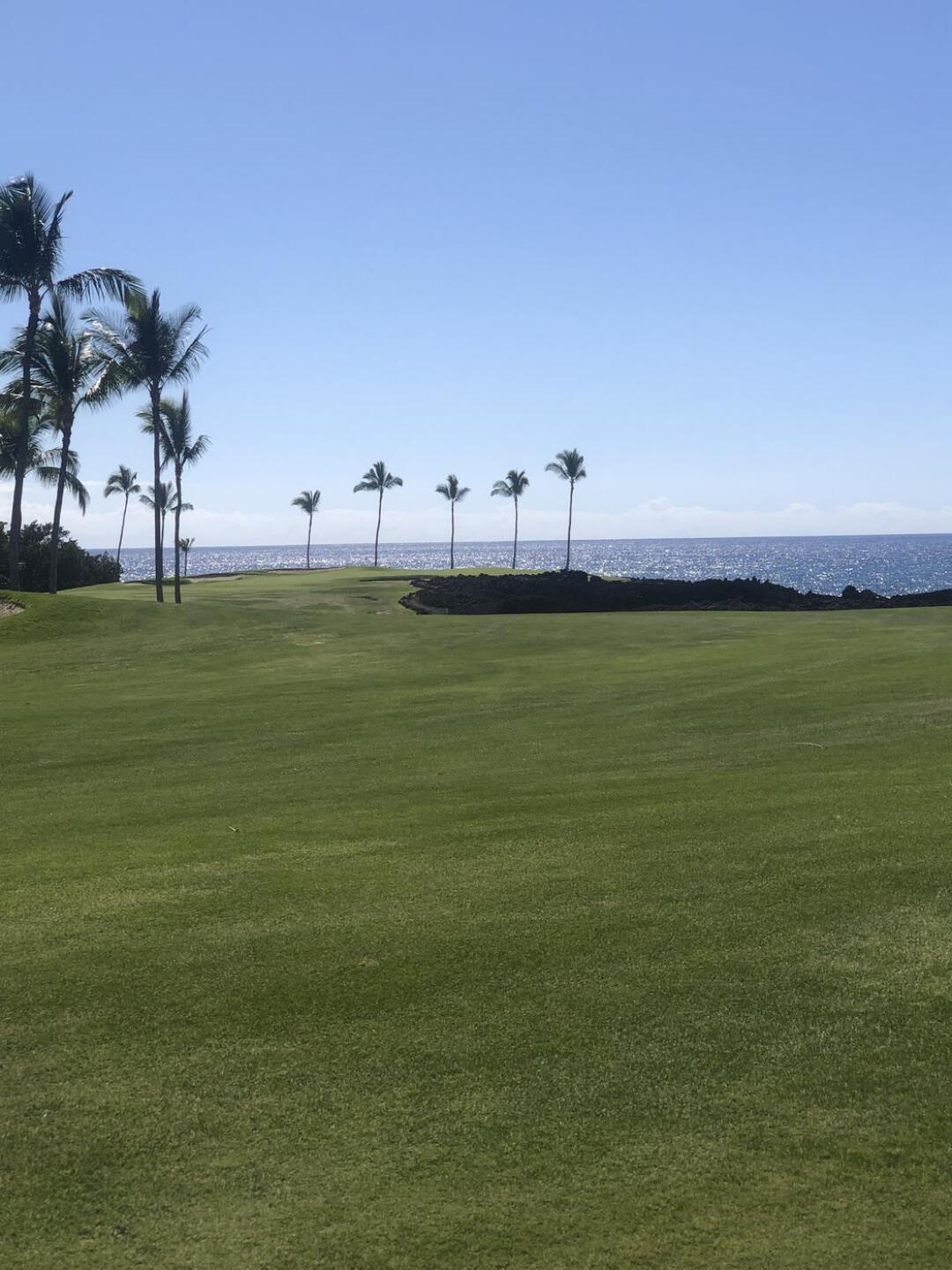 Signature hole. (Photo submitted by JULIECFD on 03/05/2023)