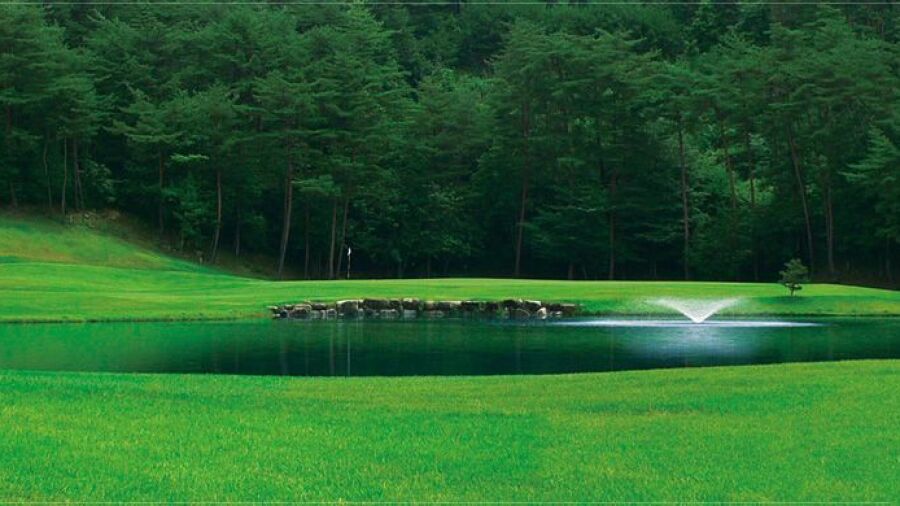 Green Birds GC