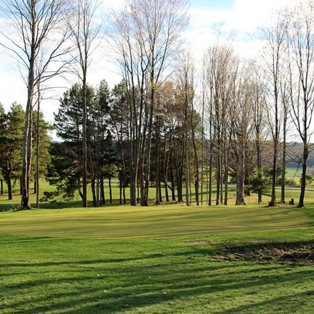 Maple Ridge Golf Executive at Maple Ridge Golf Course in Brutus, Michigan, USA | GolfPass