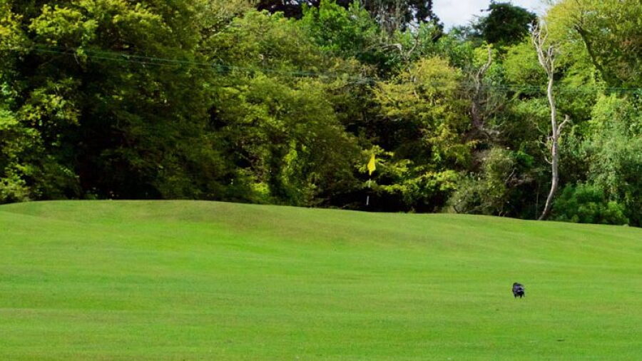 Deer Park Golf & FootGolf - Pitch & Putt