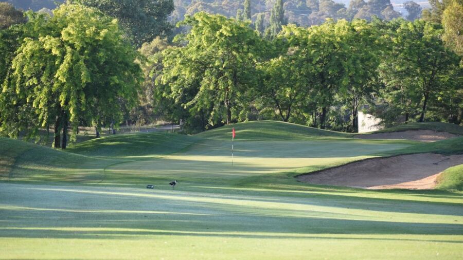 Gold Creek CC