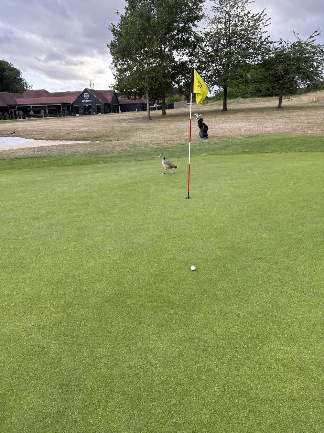 (Photo submitted by CNg04A9CmwYdSplj9pq2 on 06/22/2025)