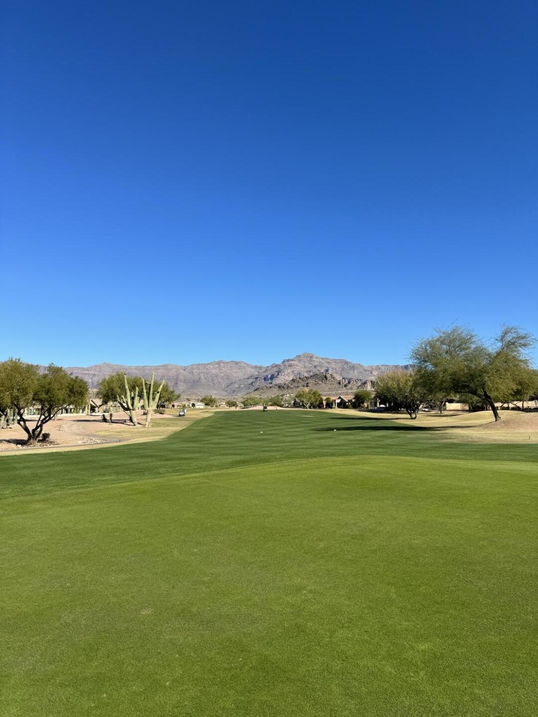 (Photo submitted by tyl3r on 12/13/2023)