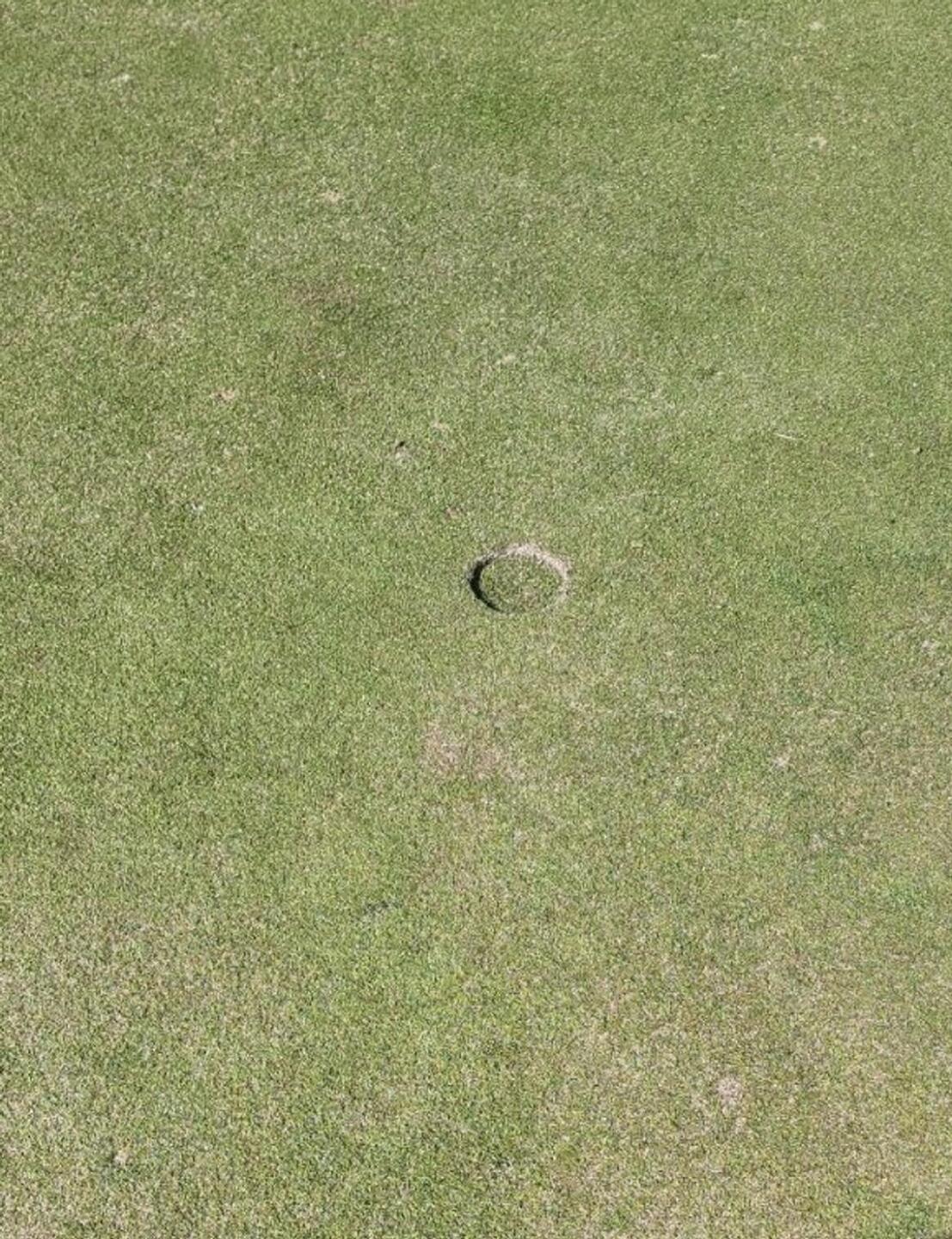 (Photo submitted by Garygoeman on 01/28/2024)