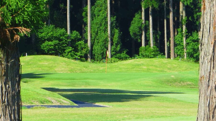 Ooka GC: #4
