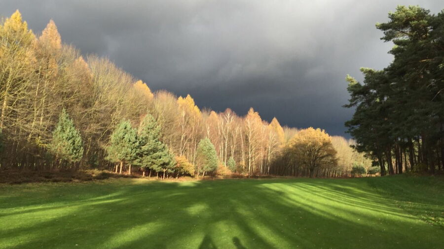 European GC Elmpter Wald: #7