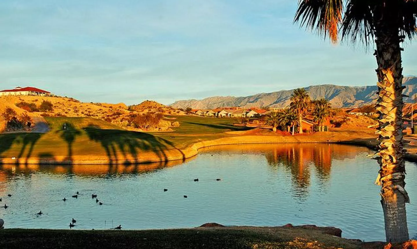 Oasis Golf Club - Palmer Course - hole 12