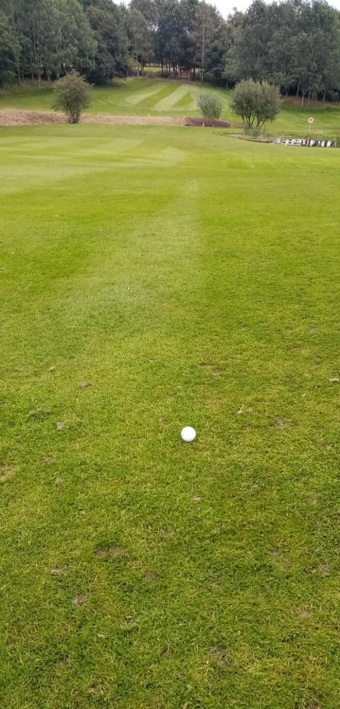 (Photo submitted by u314160526704 on 08/06/2020)