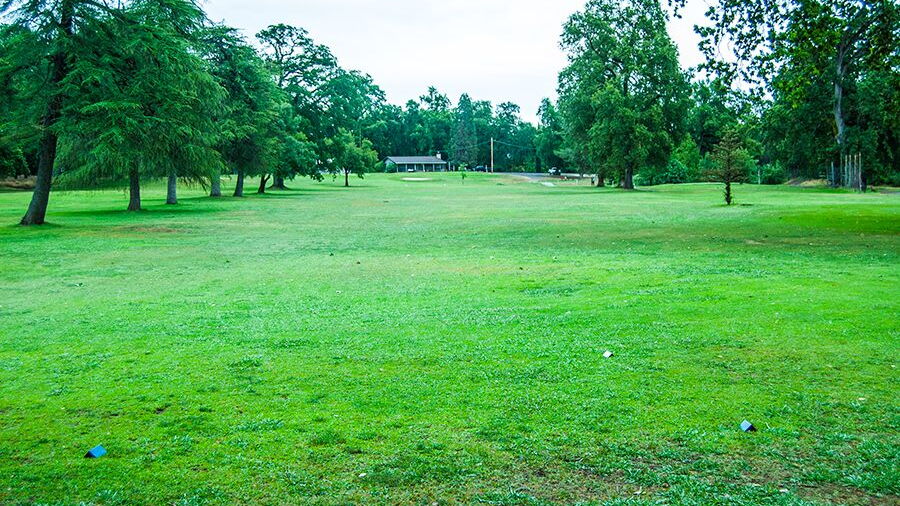 Allen's GC: #2