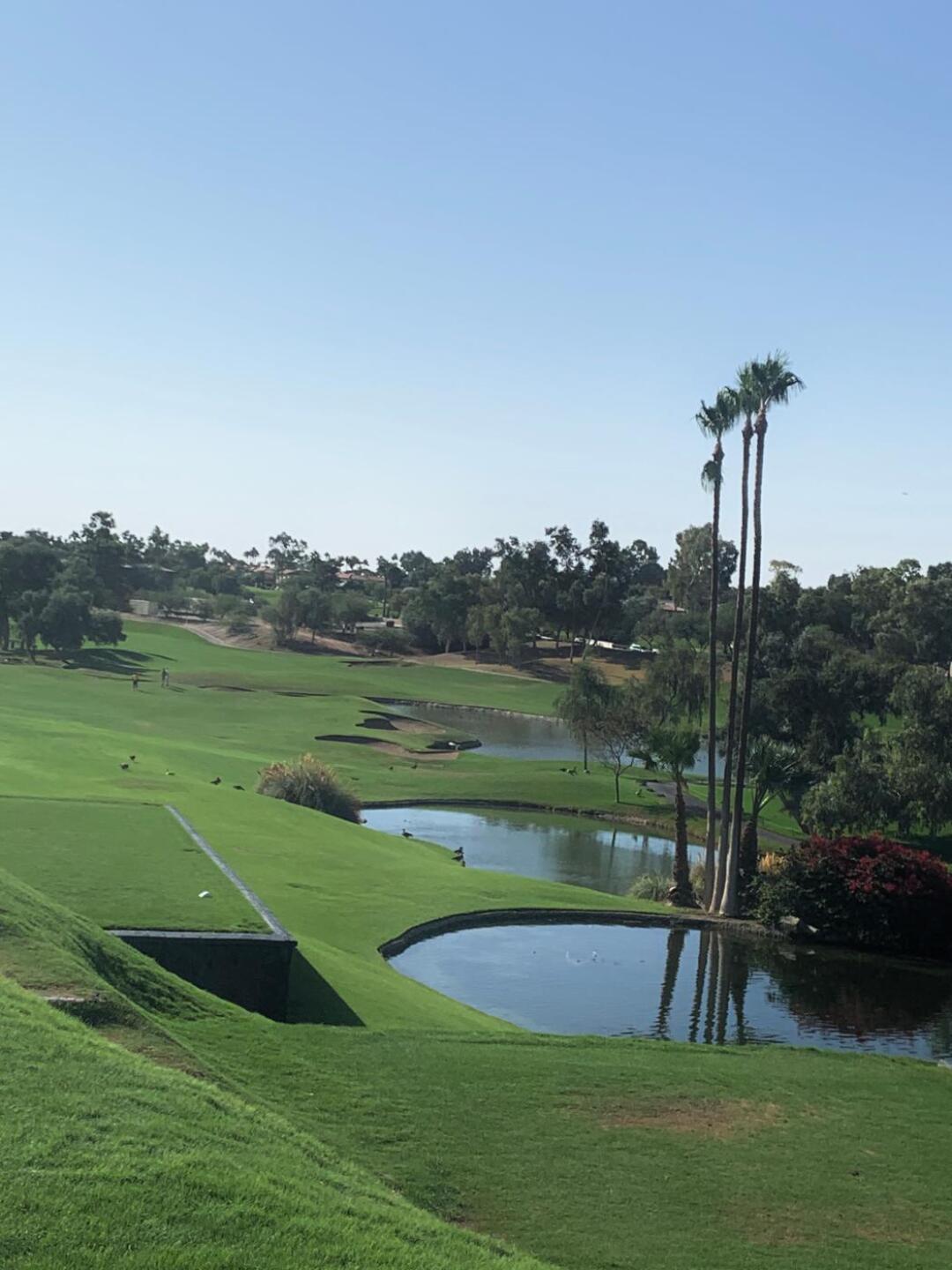 (Photo submitted by buddsnotdudds on 11/12/2019)