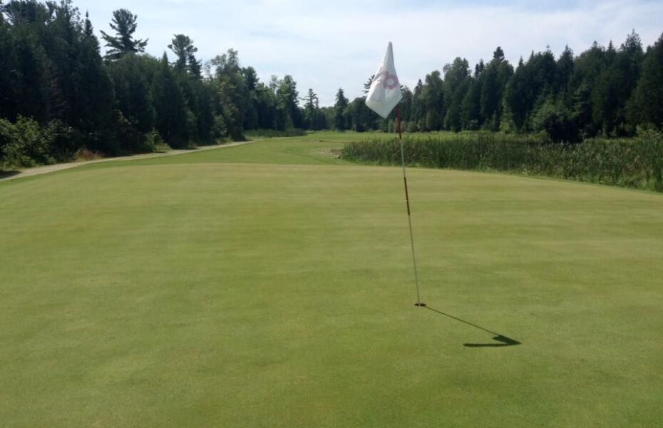 Stony Point Golf in Manistique, Michigan, USA Golf Advisor