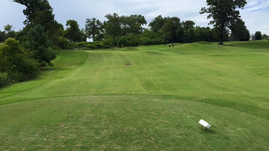 VinnyLinks GC: #3