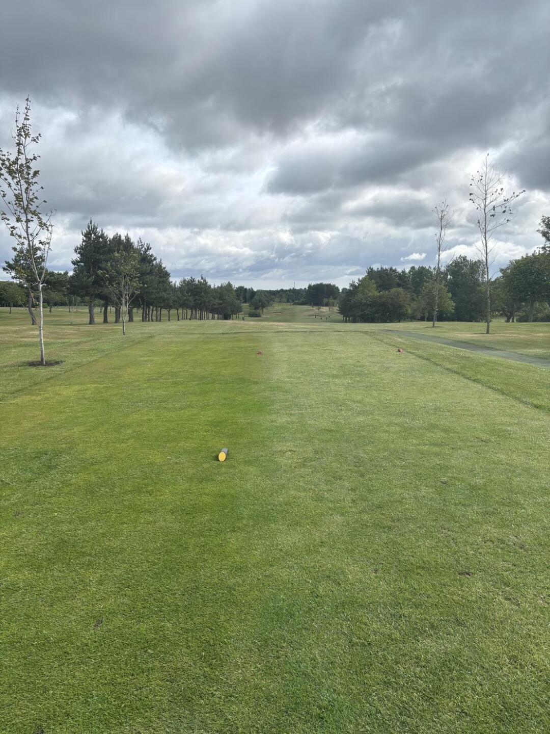 (Photo submitted by 28J8xEZZziFo14caAs0K on 06/23/2025)