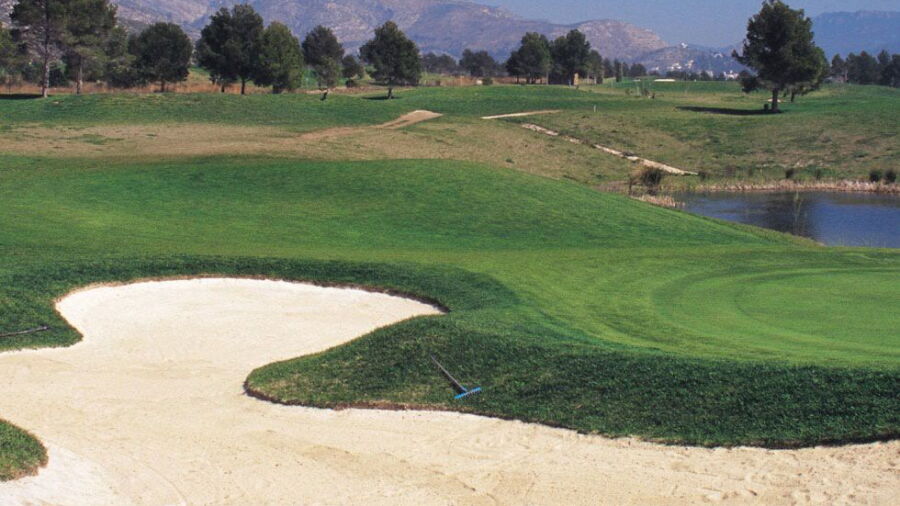 Goodwin GC