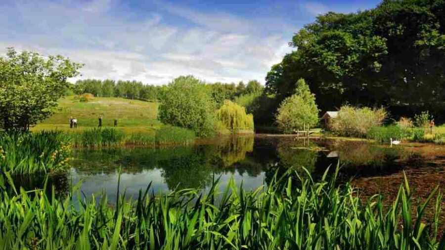 Strathmore GC