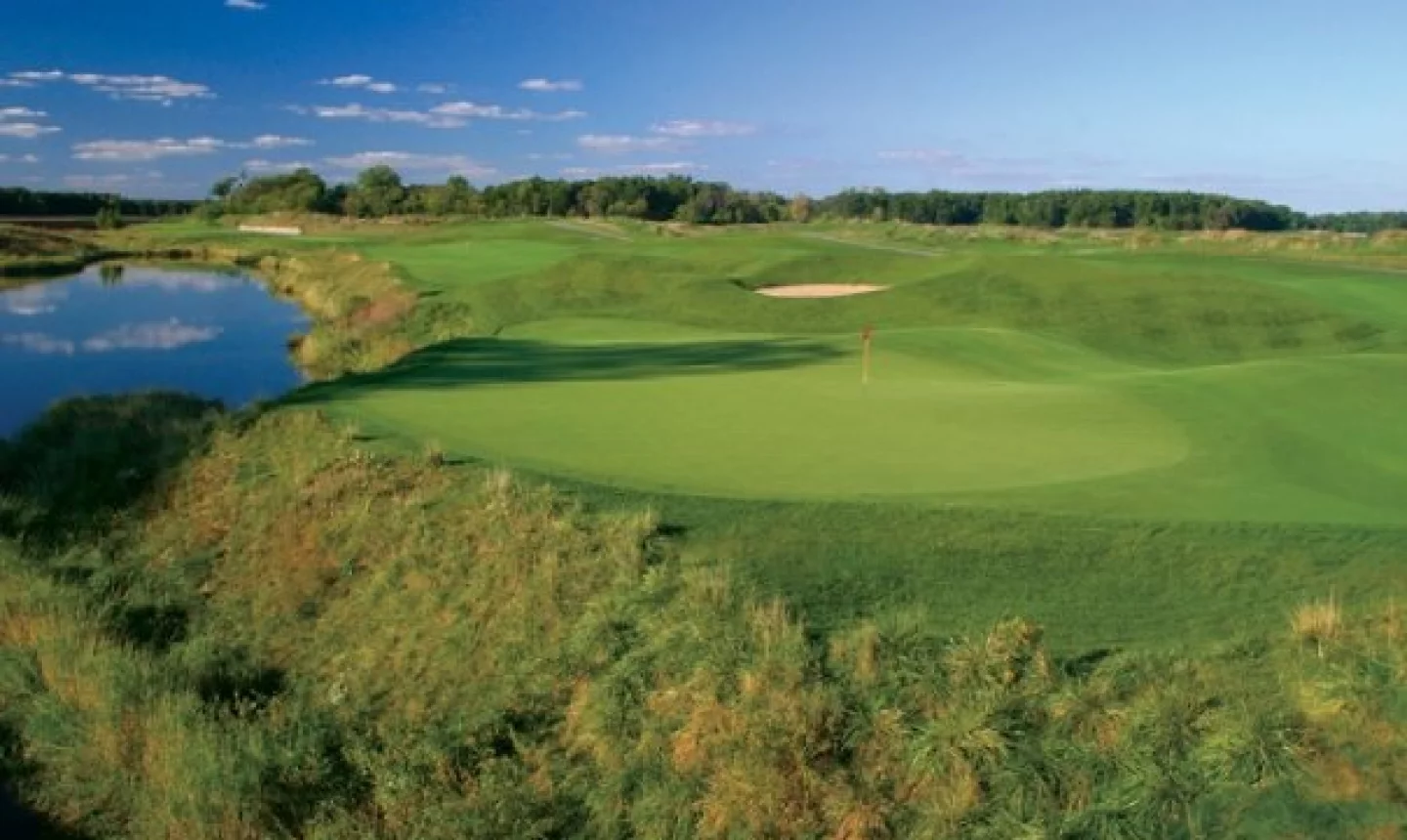 Eagle Eye at Hawk Hollow - no. 3