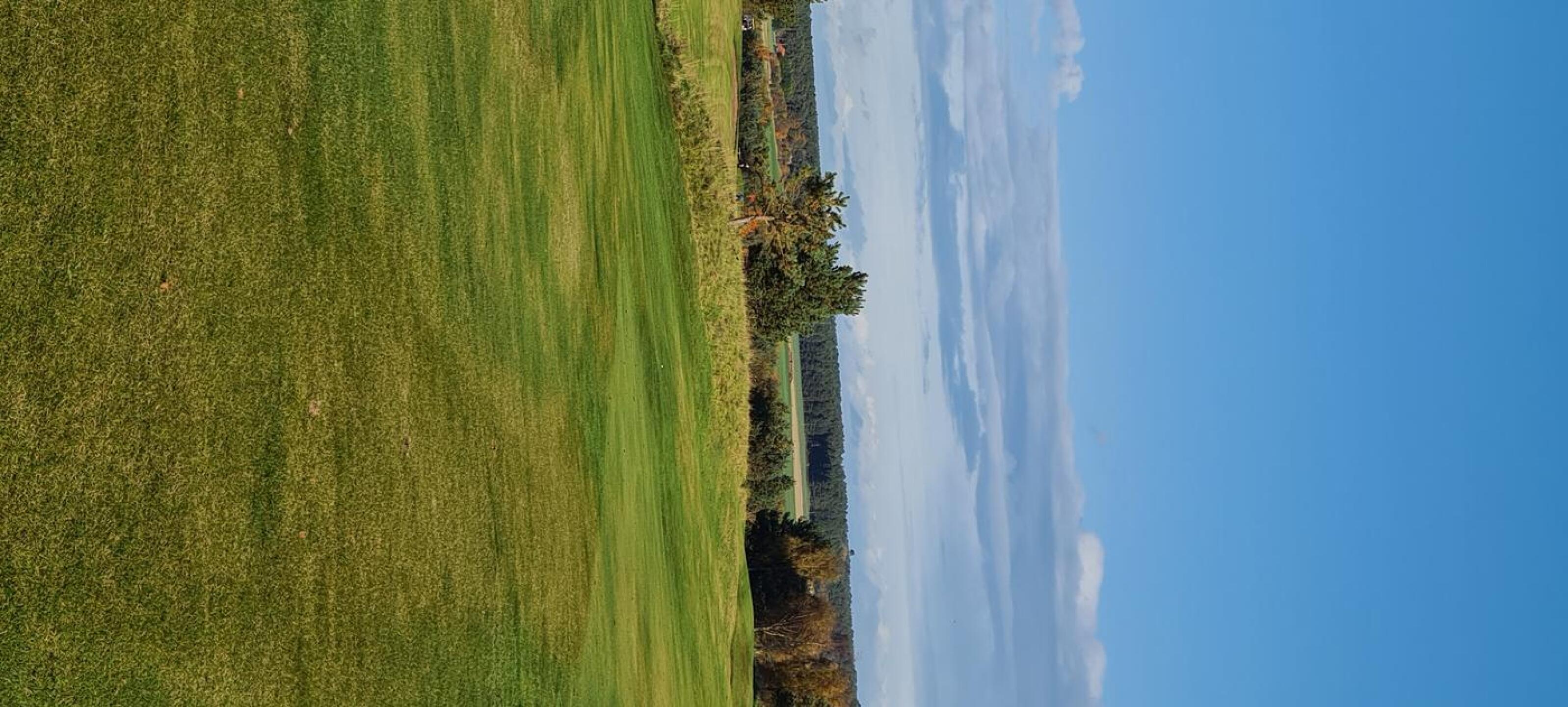 (Photo submitted by gaz3822 on 10/24/2020)