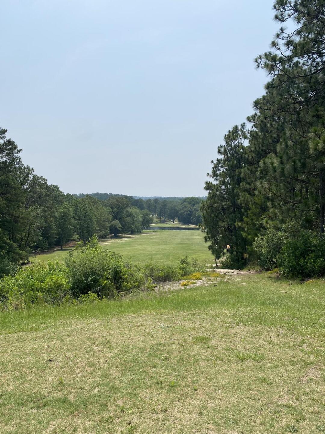 (Photo submitted by kjmarshall on 06/18/2023)