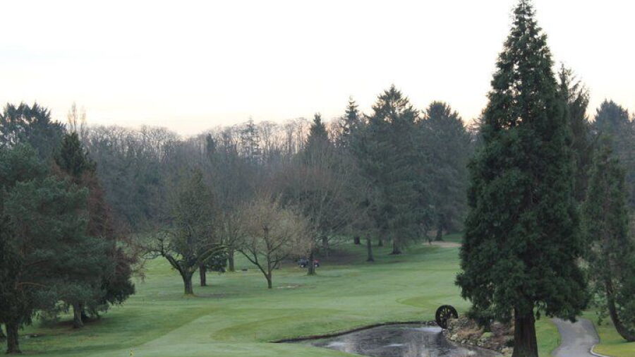 Point Grey GCC