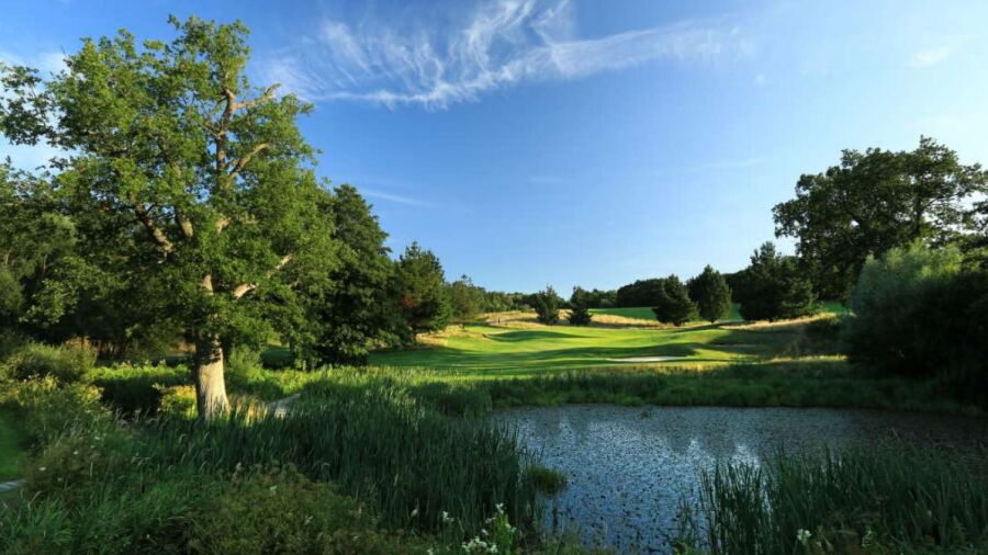 East Sussex National - West: #13