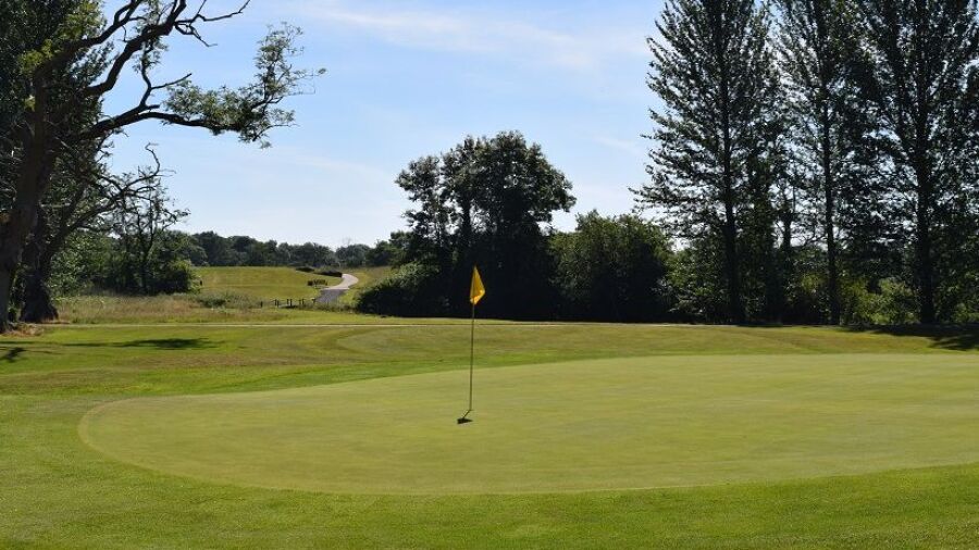 New Forest Golf: #11