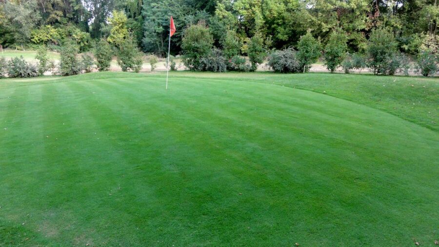 Ales-Ribaute GC