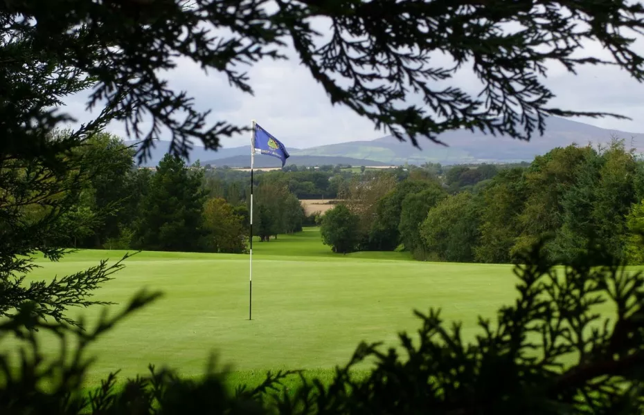 Enniscorthy Golf Club - 14th