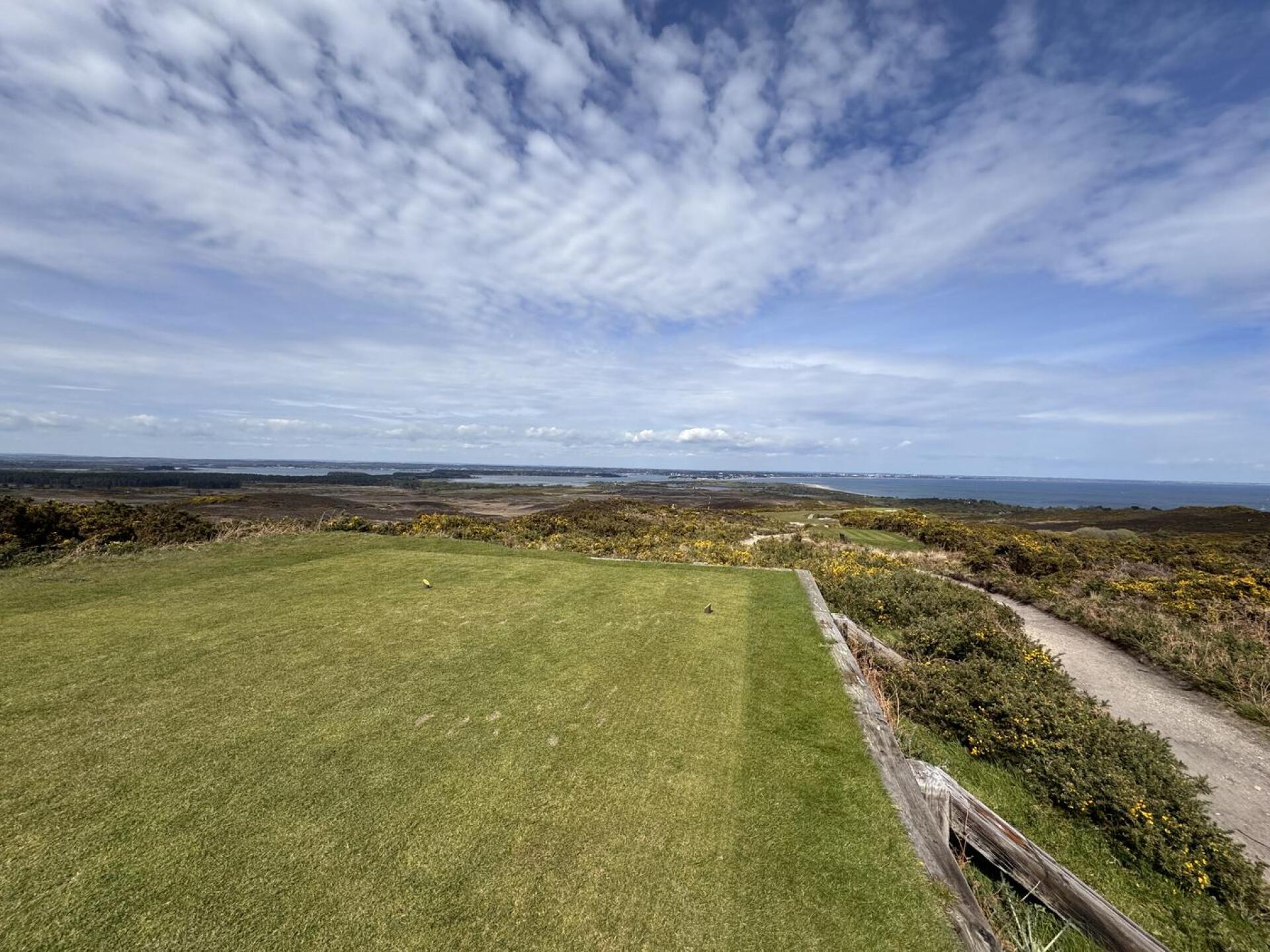 (Photo submitted by u314163372422 on 04/19/2024)