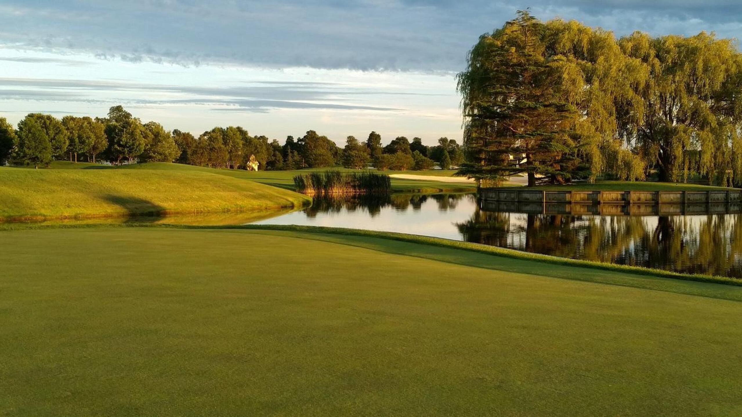 (Photo submitted by TroyJames on 04/04/2024)