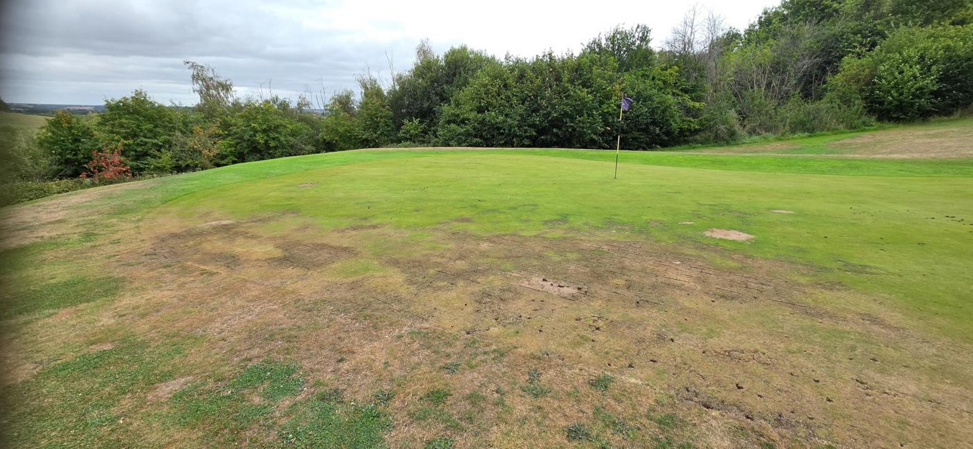 All greens have holes like these (Photo submitted by robertd10 on 08/20/2025)