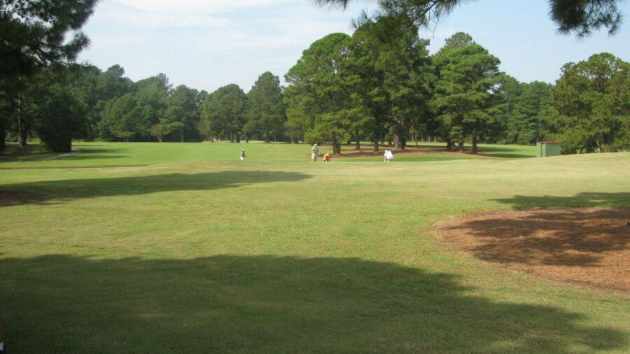 Pine Burr GC