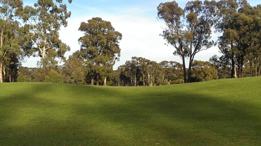 Neangar Park