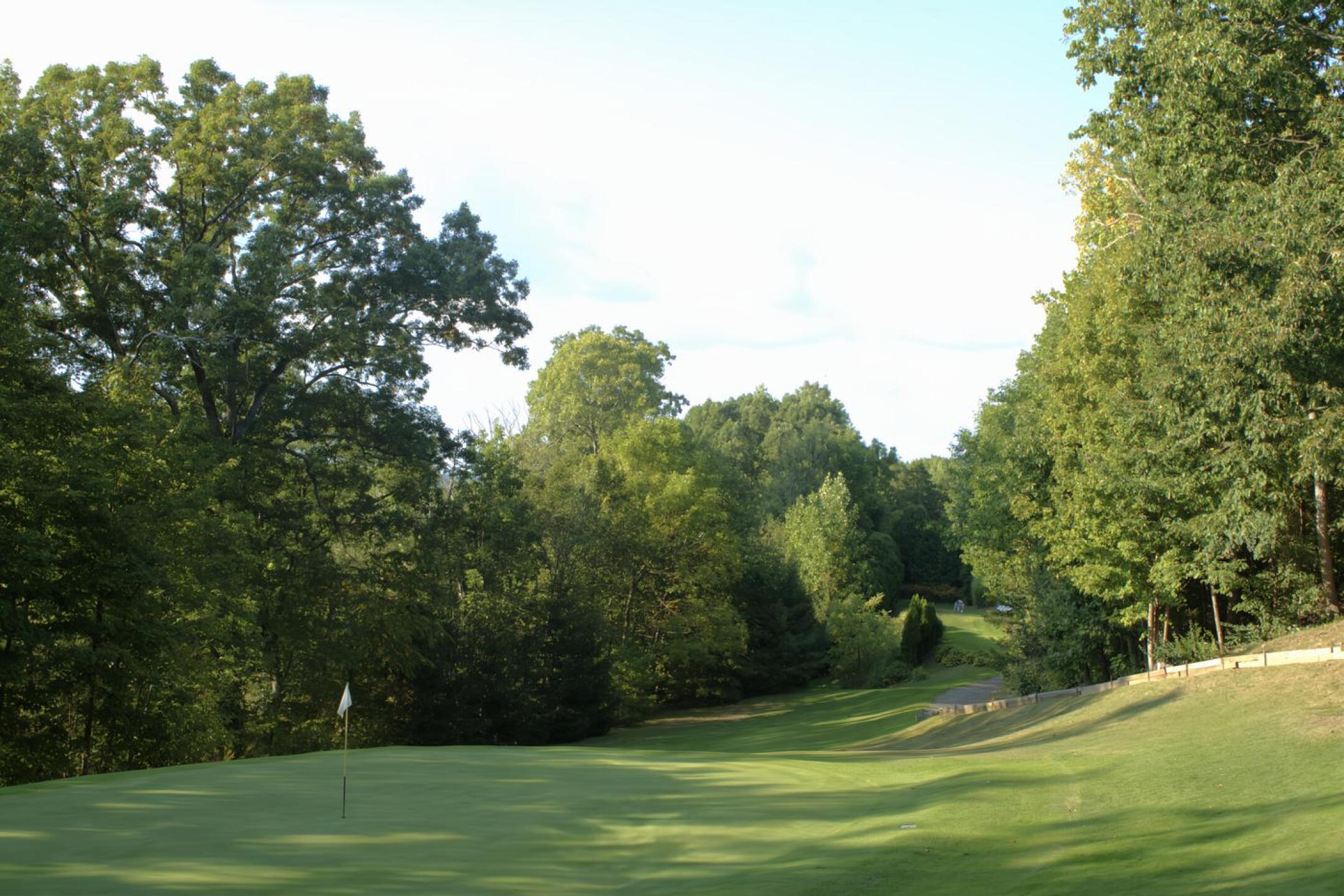 Nine is a fine finishing hole. (Photo submitted by AptlyLinked on 09/22/2024)
