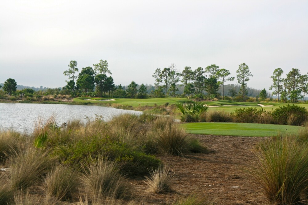 Old Corkscrew Golf Club - hole 4