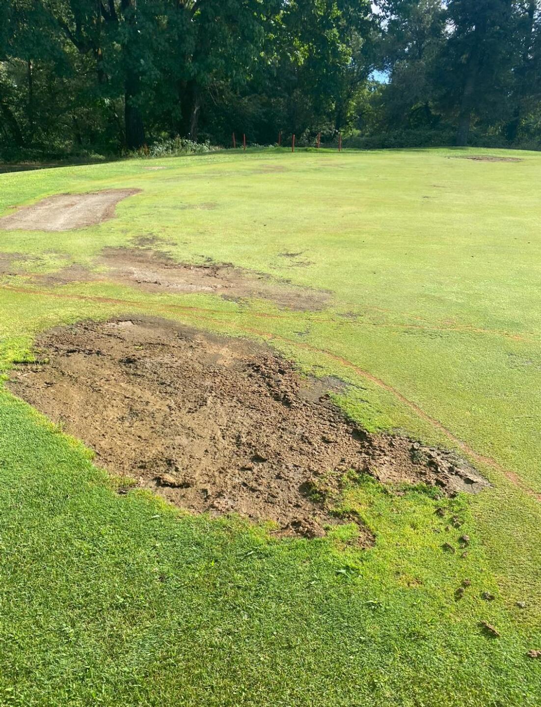 Greens (Photo submitted by Golf4life1980 on 08/20/2024)